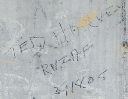 TED HARVEY 391805 RNZAF