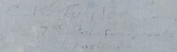 C.K. Taylor 7th Reinforcements