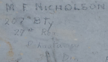 M.F. NICHOLSON 207 Bty, 29th Reg