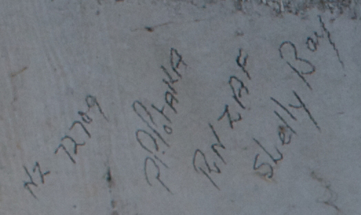 P. P. POTAKA 72709 RNZAF