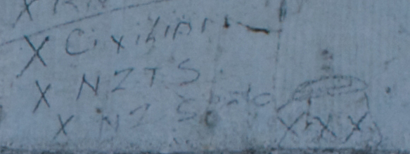 C. Xili? NZTS, NZ S??