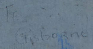 T.E. Gisborne