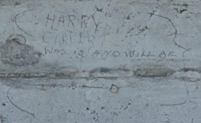 HARRY CARTER