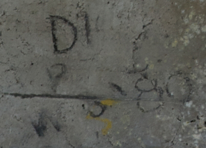 D1/W80