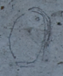 Pencil