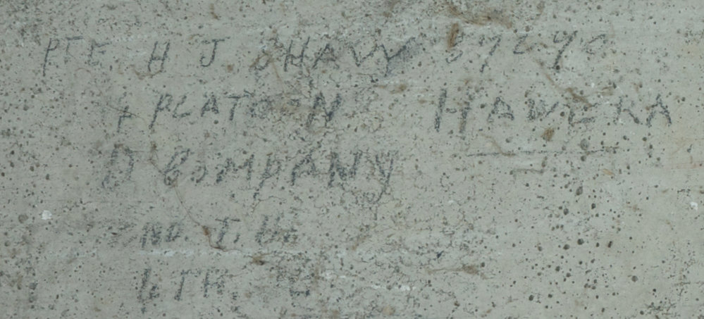 PTE H.J. SHAW 57270 1 PLATOON D COMPANY ATR