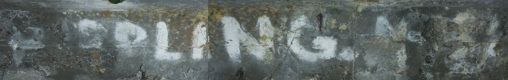 SHIT ON AN ?APPLING MAN