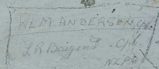 Cpt L.R. Baigent NZP?