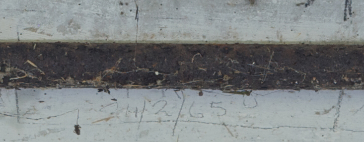 T.M McNeight   24/2/.65