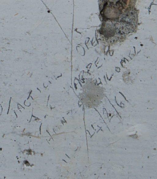 J.T. HARPE TACTICAL OPERATIONS  11-24/2/61