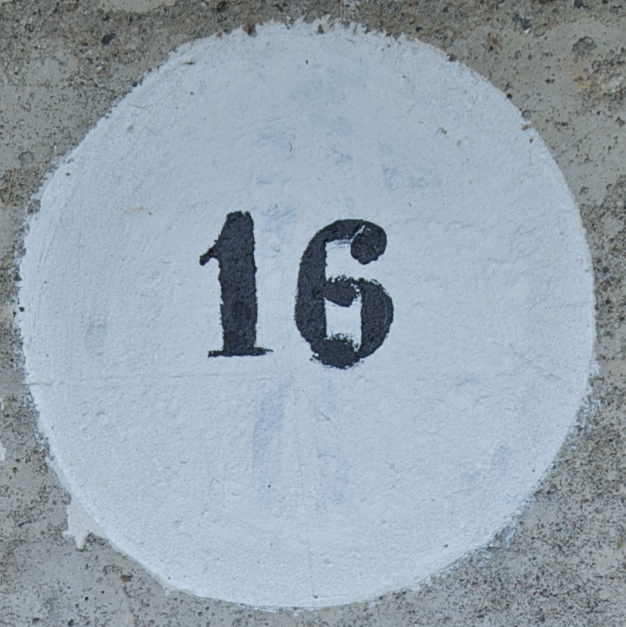 16