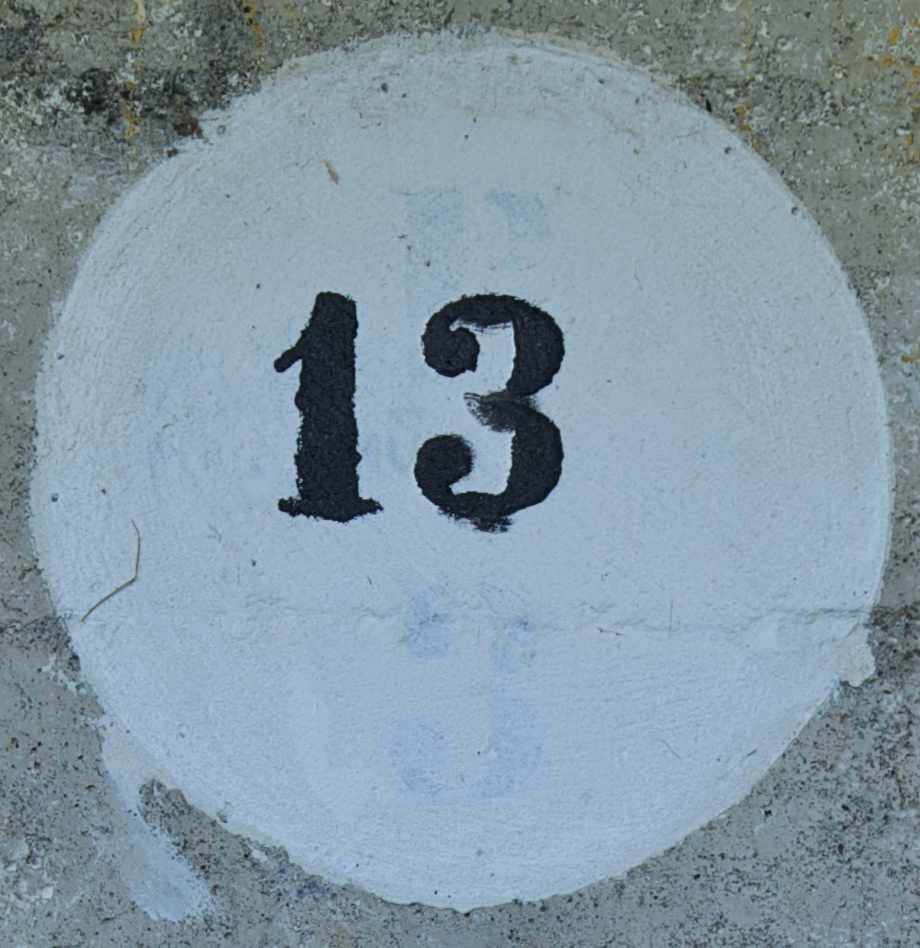 13