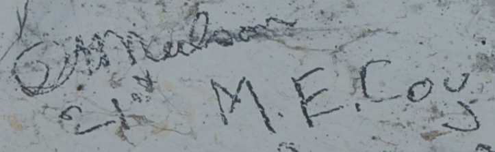 ? Nelson 21st M.E Coy