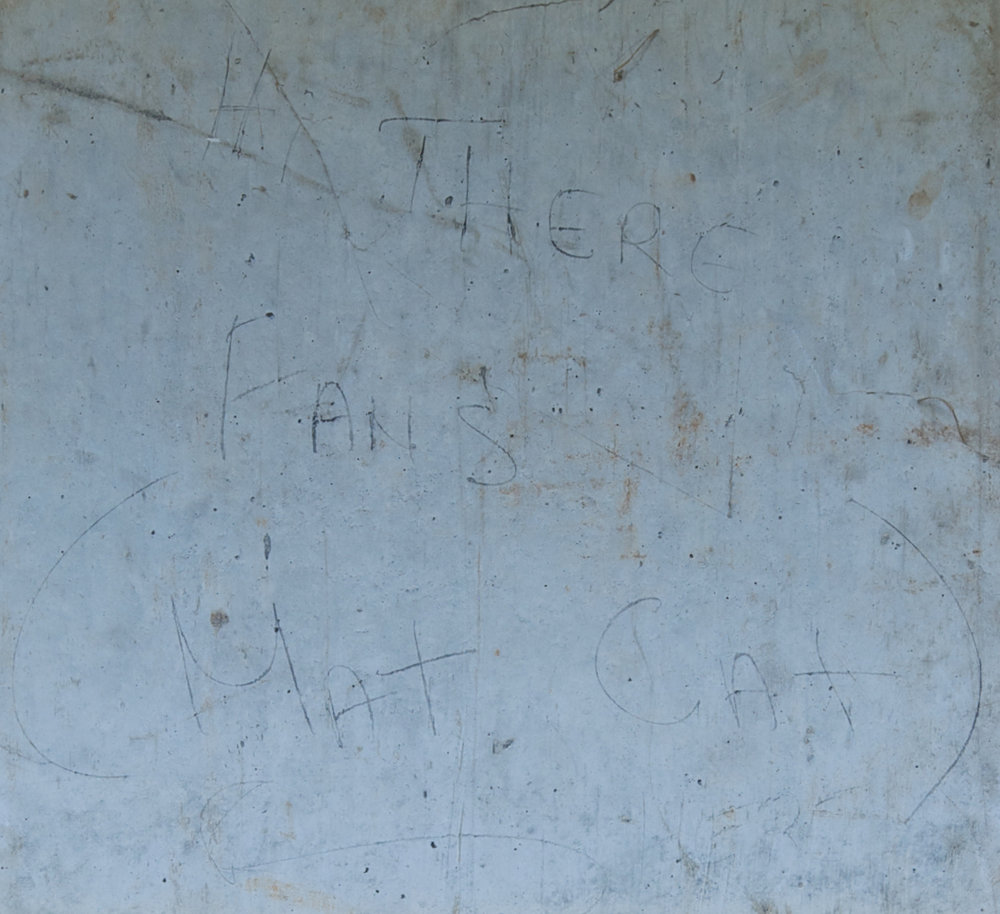 HI THERE FANS (MAT CAT)