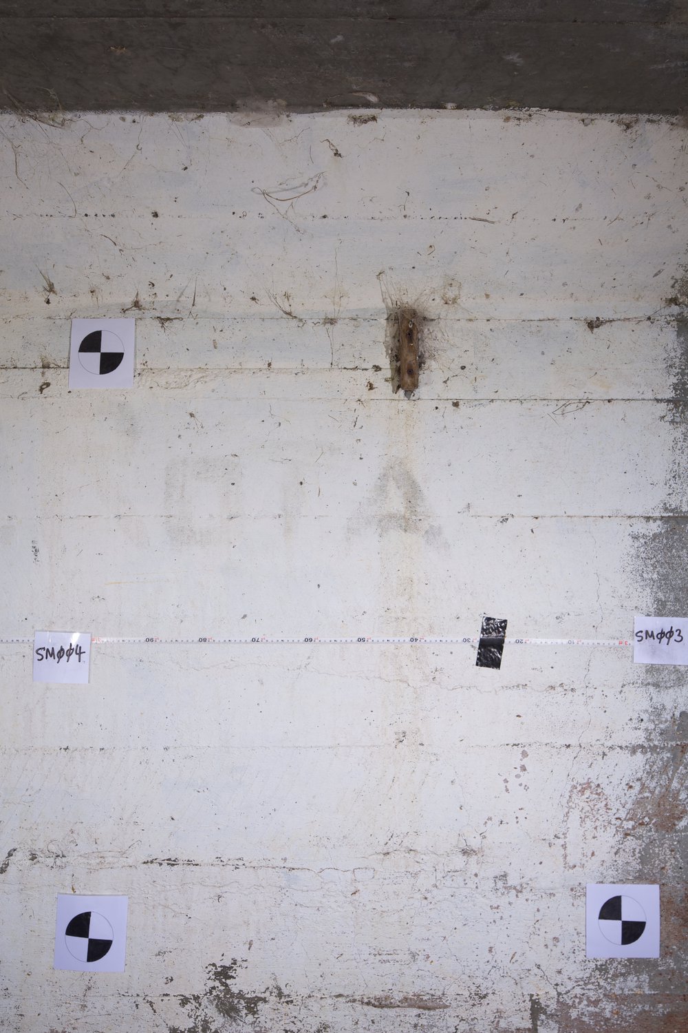 Sommerville Range 004m