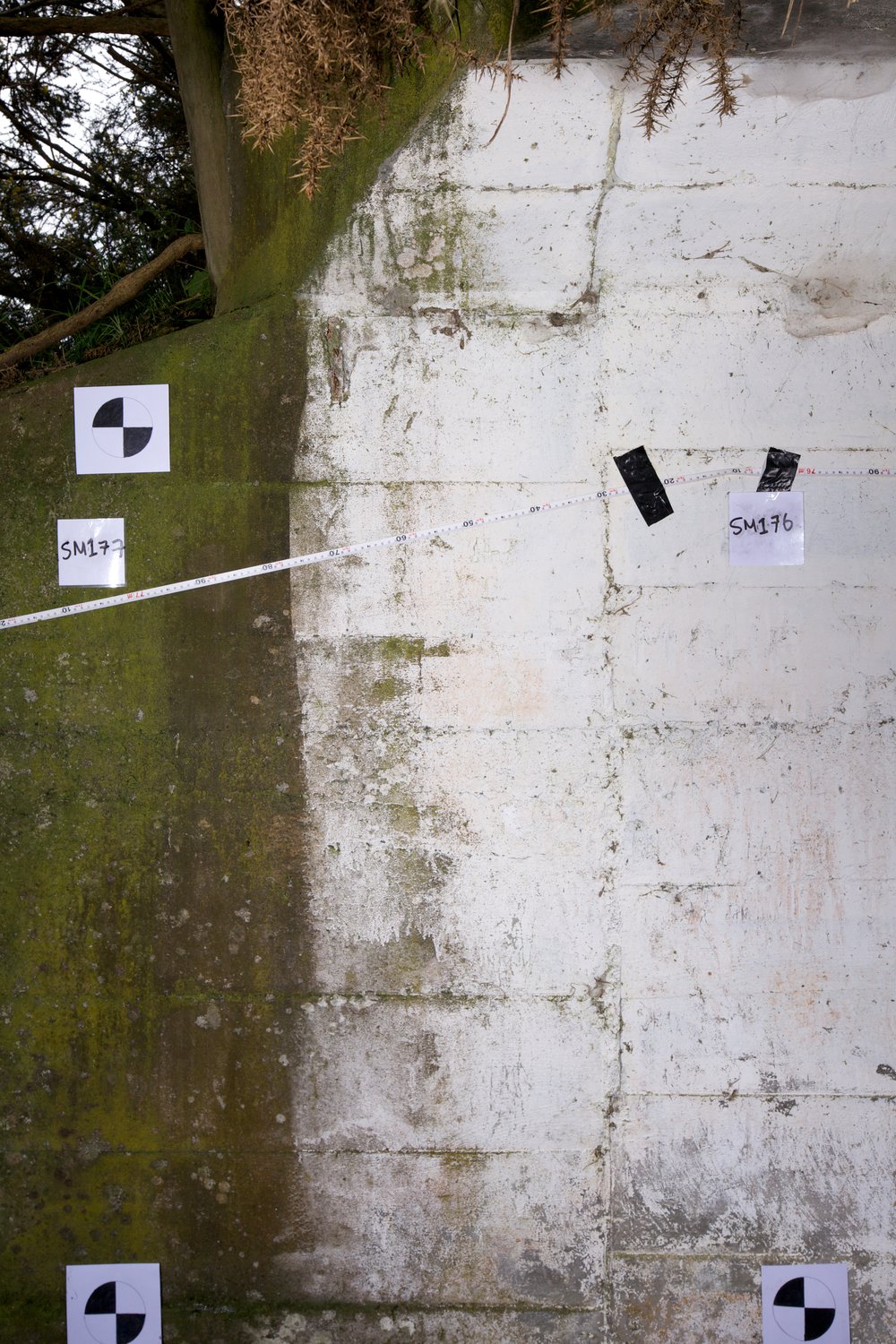 Sommerville Range 177m