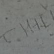T. HILL