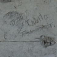 T. Walla