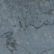 Sgnr EC ??arck No (obsc by label)