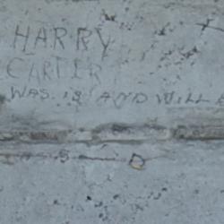 HARRY CARTER