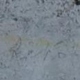 ? McKenzie