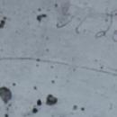 H. Len??