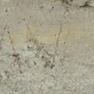 AN?