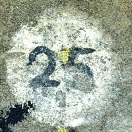 25