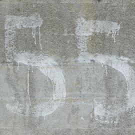 55