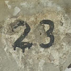 23