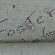 F. Foster