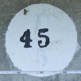 45