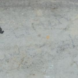 Pete R??? V.H.W  ?/9/89