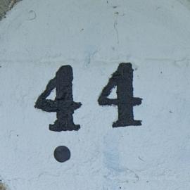 44