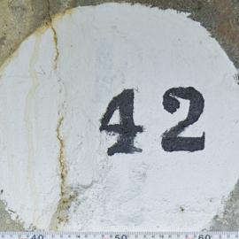 42