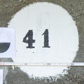 41