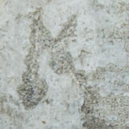 M.