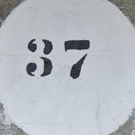 37