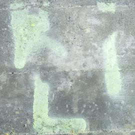 R1