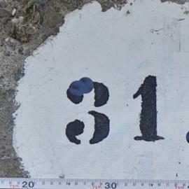 31