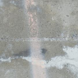 Ic