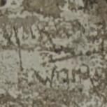 A? Warg??
