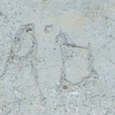 A.D