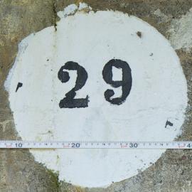 29