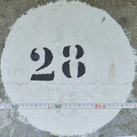 28