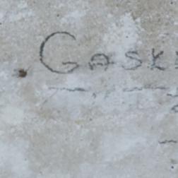 DAVID GASKIN   25/2/??