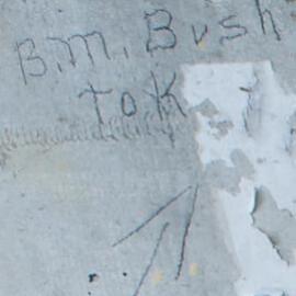 B.M Bush
