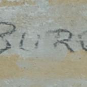HN BURGESS