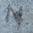 N.