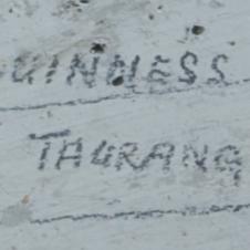 C. GUINNESS